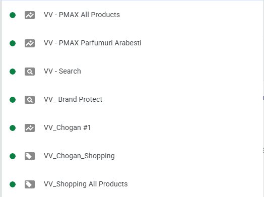 Google Ads — campanii Performance Max și Search